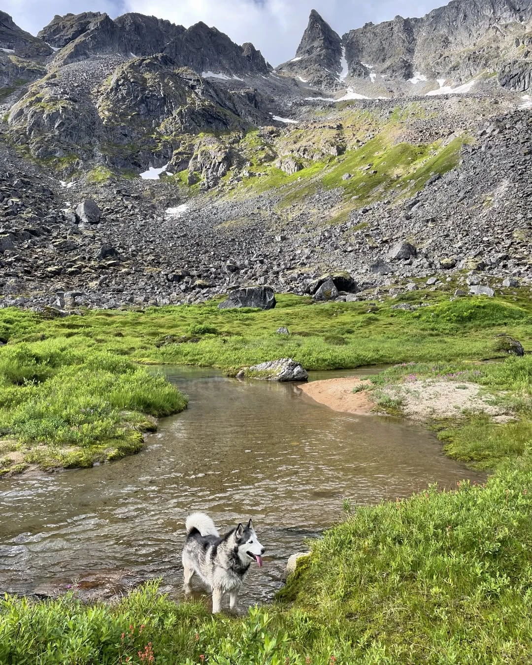 A dog beside an alpine creek beneath jagged mountains, photographed by Chase Mildenberger